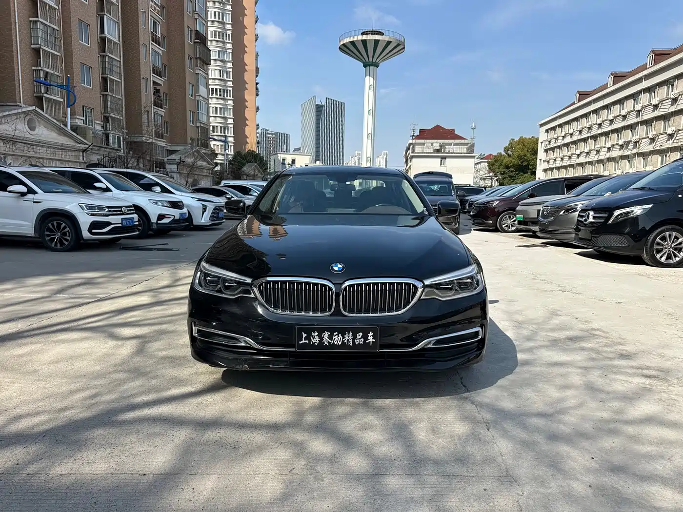BMW 5 Series 2020 530Li Leading Luxury Package фото 2