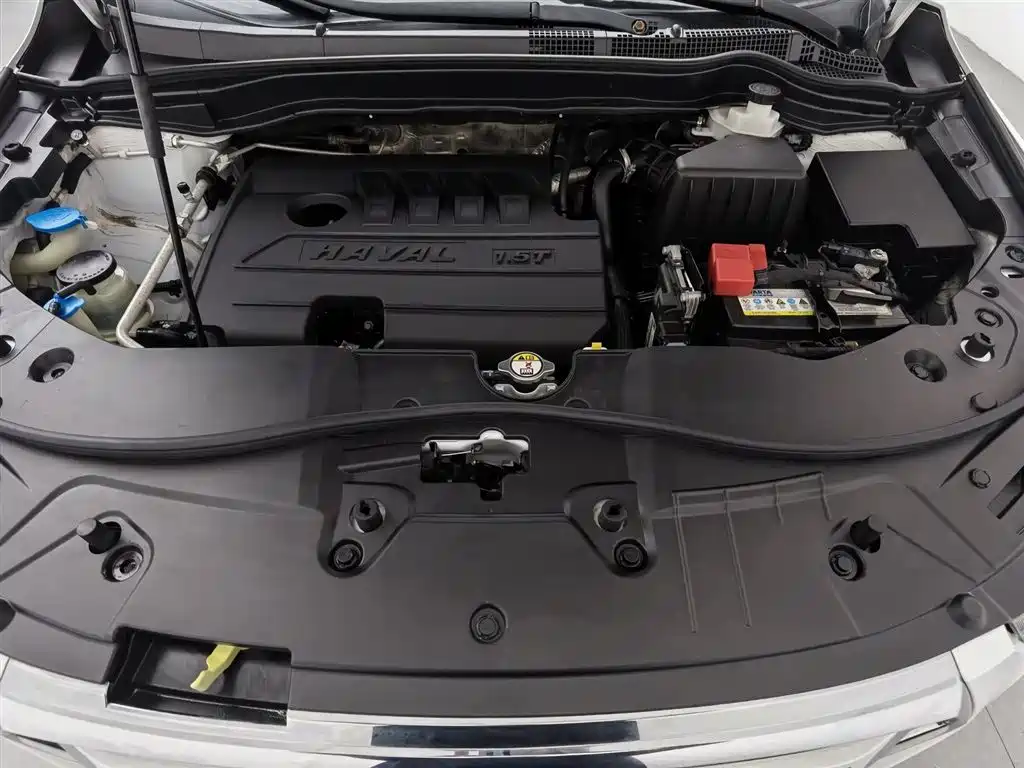 Haval H6 2019 Sport 1.5T Manual 2WD Elite (China VI) фото 6