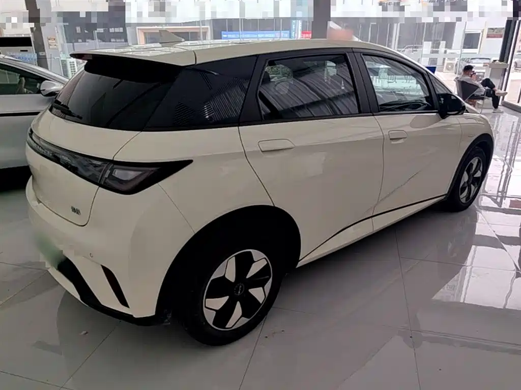 BYD Dolphin 2024 Glory Edition 420km Fashion Edition фото 7