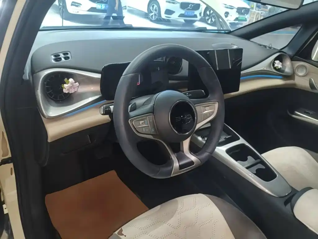 BYD Dolphin 2026 2025 Smart Drive Edition 410km Fashion Version