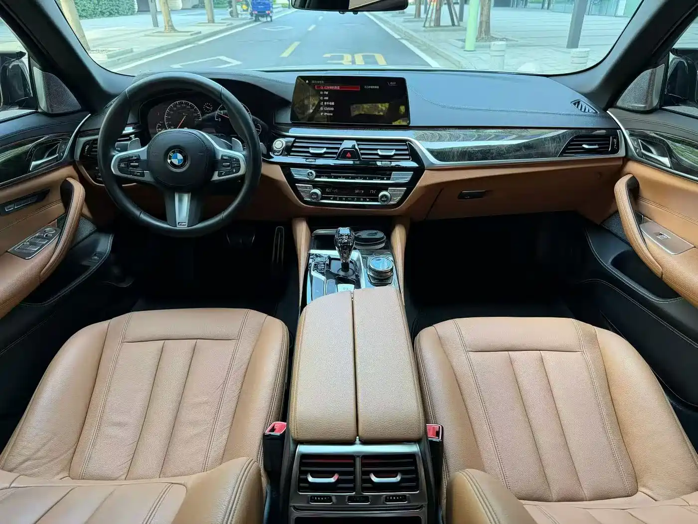 BMW 5 Series 2019 530Li Leading M Sport Package фото 5