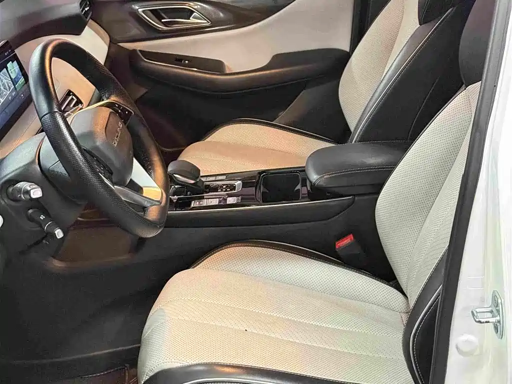 BAIC Beijing EU5 PLUS 2021 2021 R500 Premium Edition