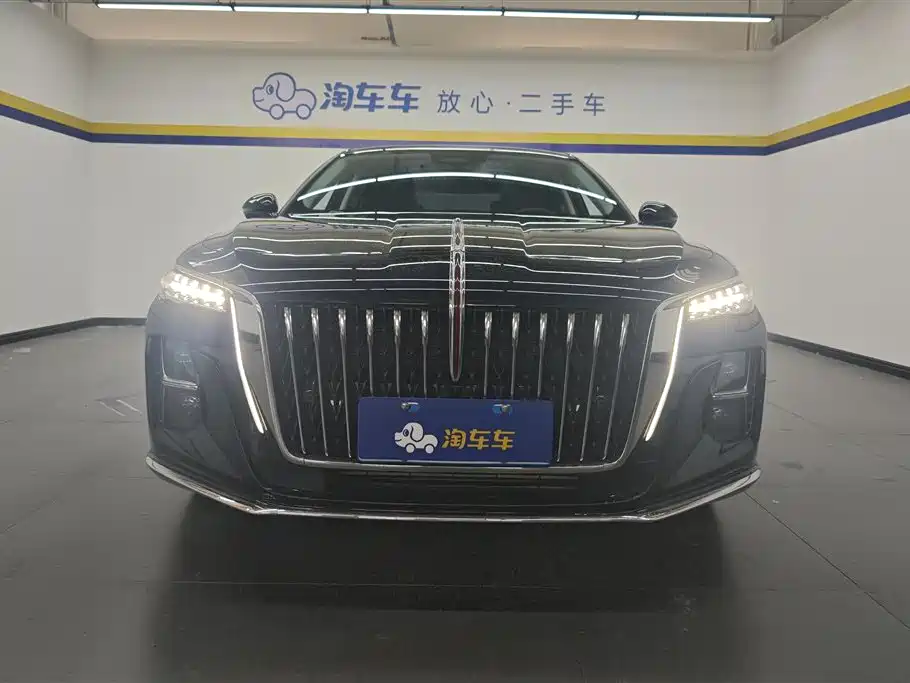 Hongqi H5 2024 2.0T Automatic Smart Connect Flag Smooth Edition фото 2