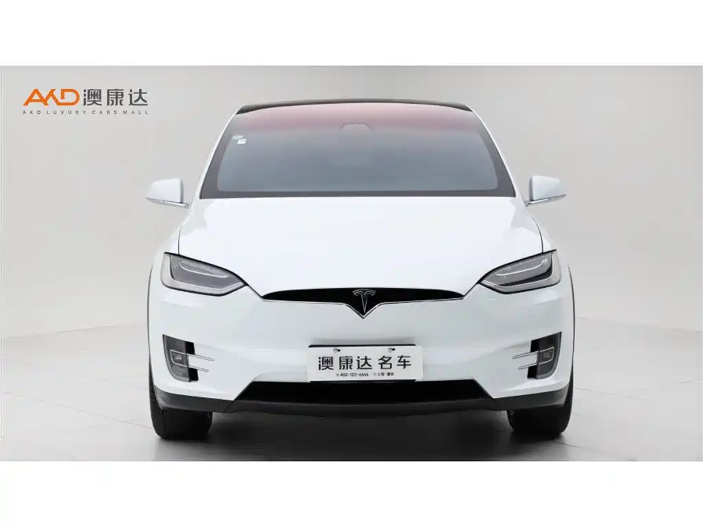 Tesla Model X 2017 2017 Model X 100D Long Range