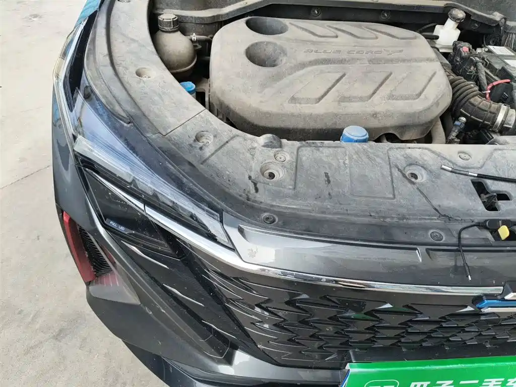 Changan Oshan Z6 2023 2022 Blue Whale 1.5T DCT Smart City Edition