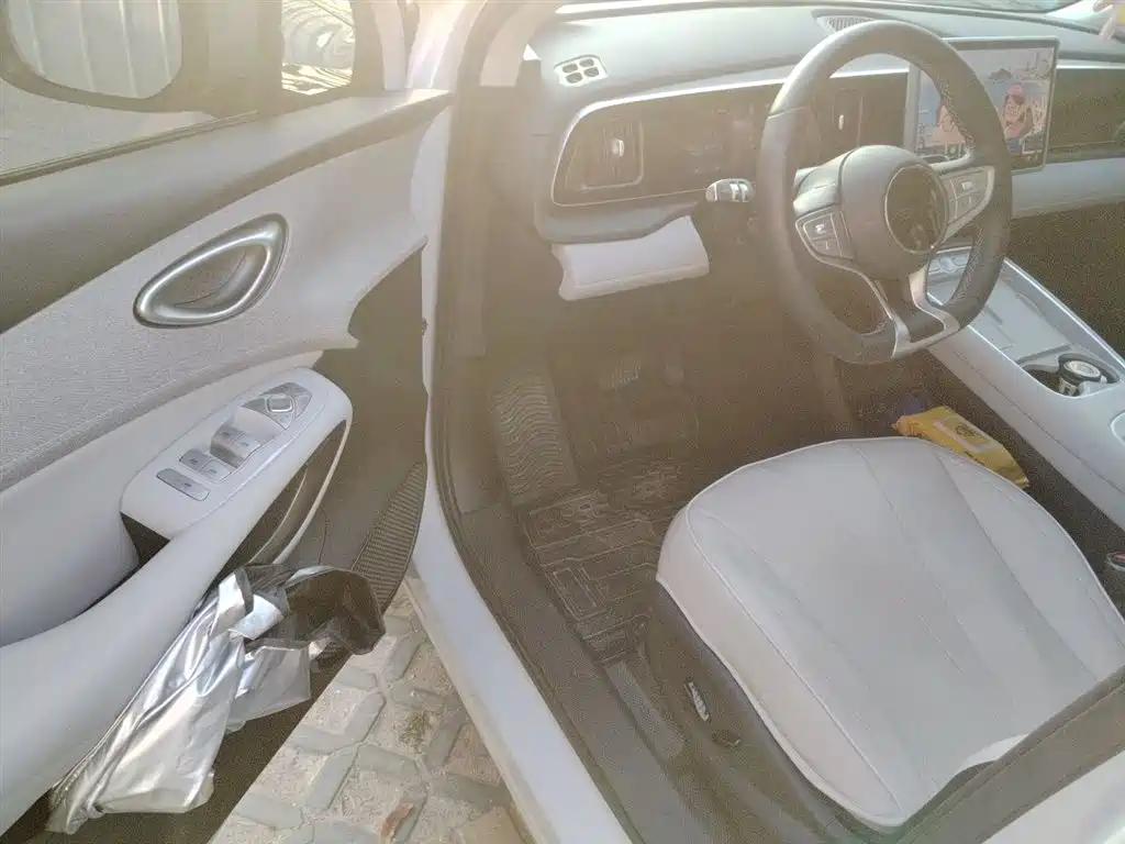 BYD Hai Shi 05 EV 2025 520KM Smart Navigation Edition фото 14