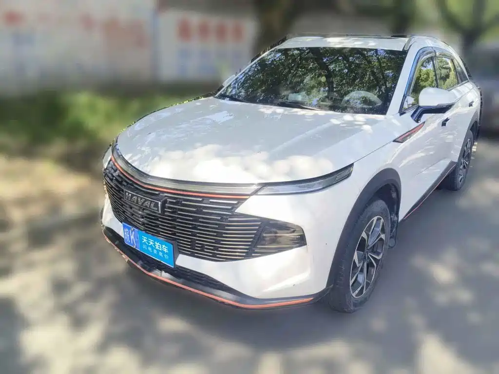 Haval Shenshou 2022 2022 1.5T Smart Enjoyment Edition