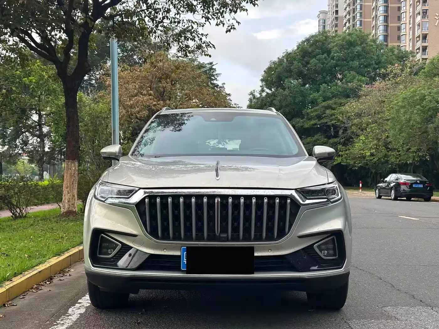Hongqi HS5 2022 Facelift 2.0T Smart Flag Enjoyment Edition фото 2