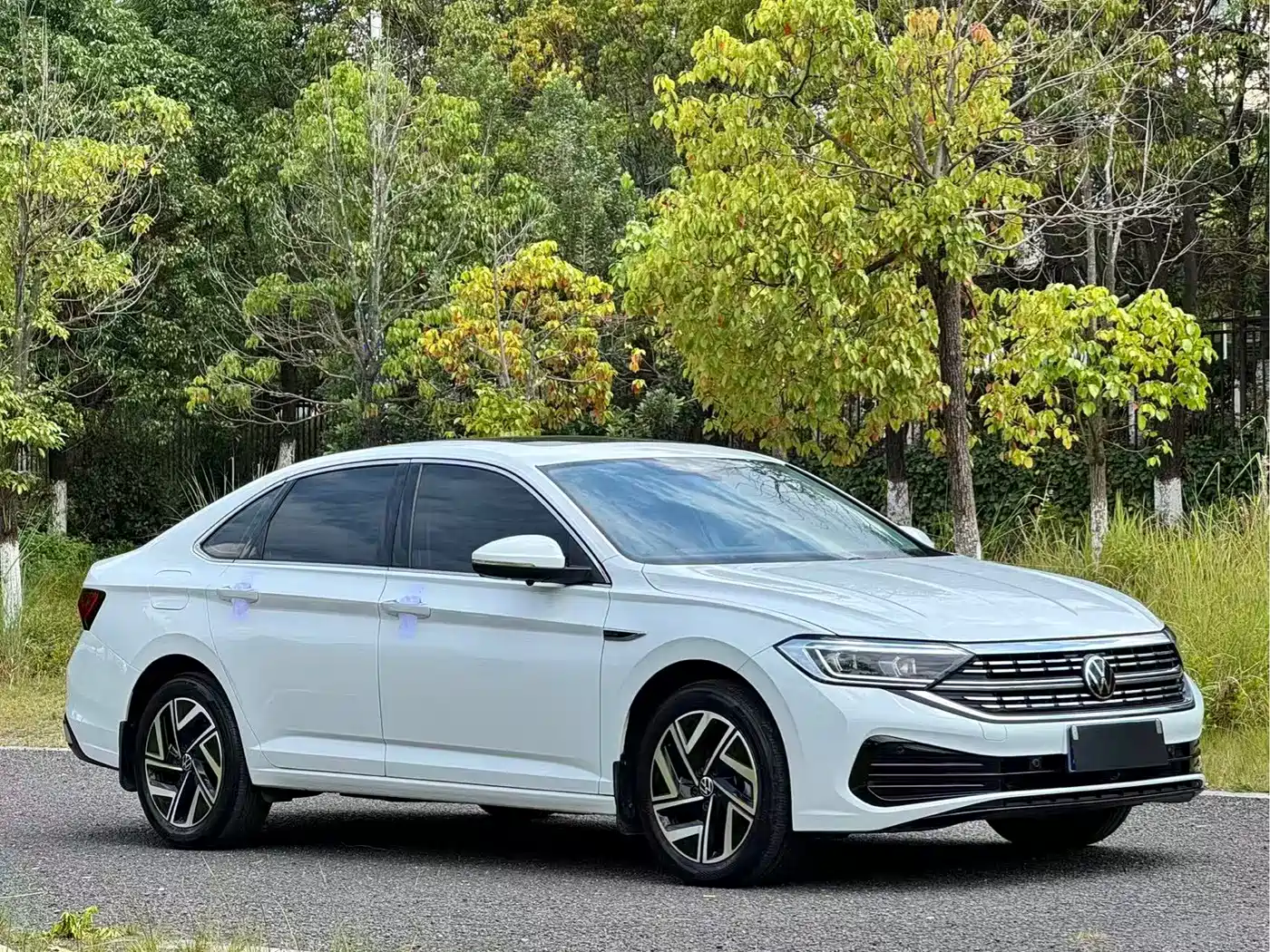 Volkswagen Sagitar, миниатюра 3