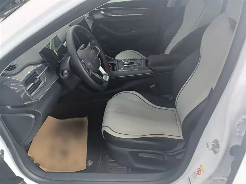BYD Destroyer 05 2024 Glory Edition DM-i 55KM Luxury фото 15