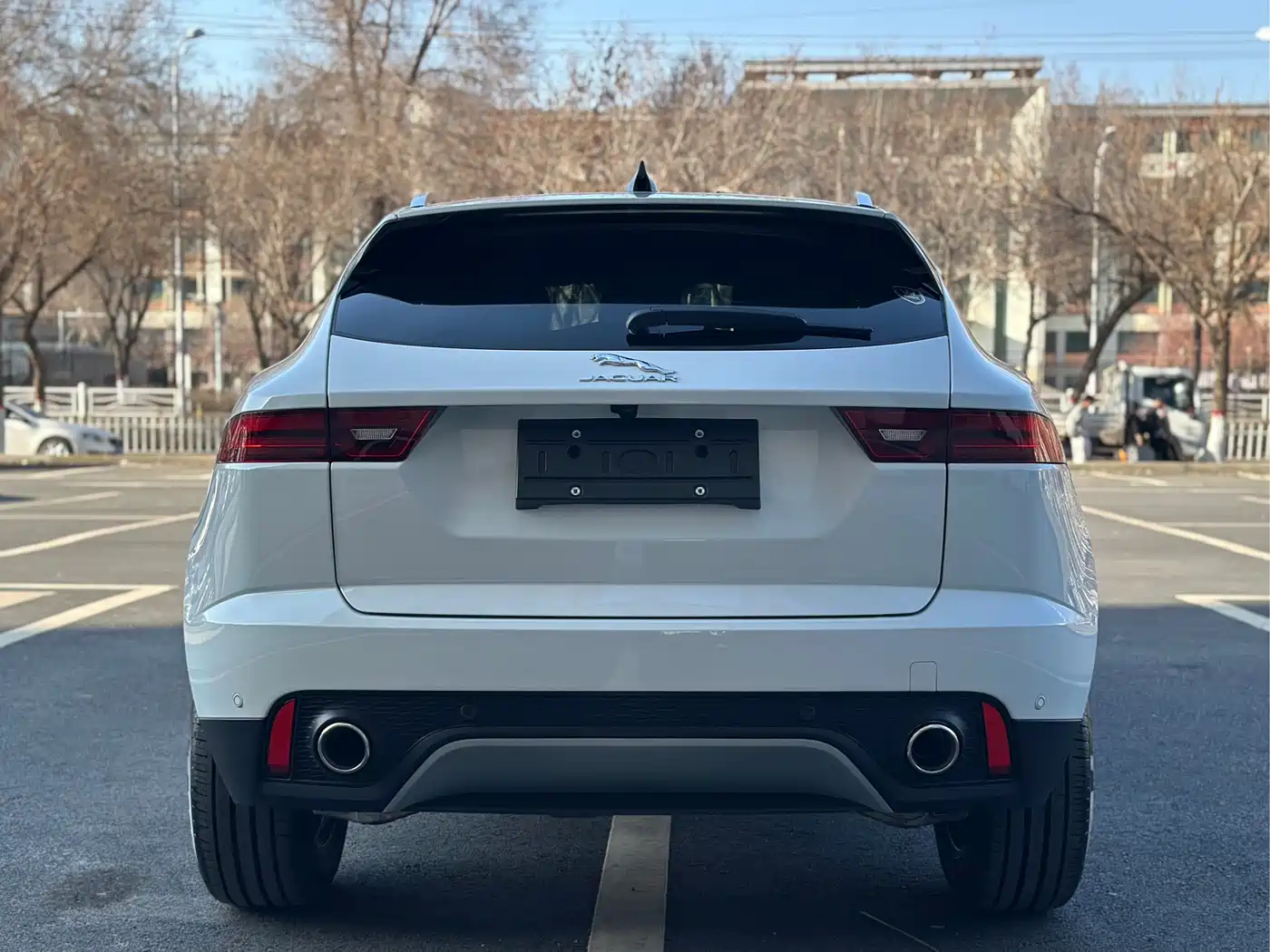 Jaguar E-PACE 2025 2024 Progressive Sport Edition R-DYNAMIC S