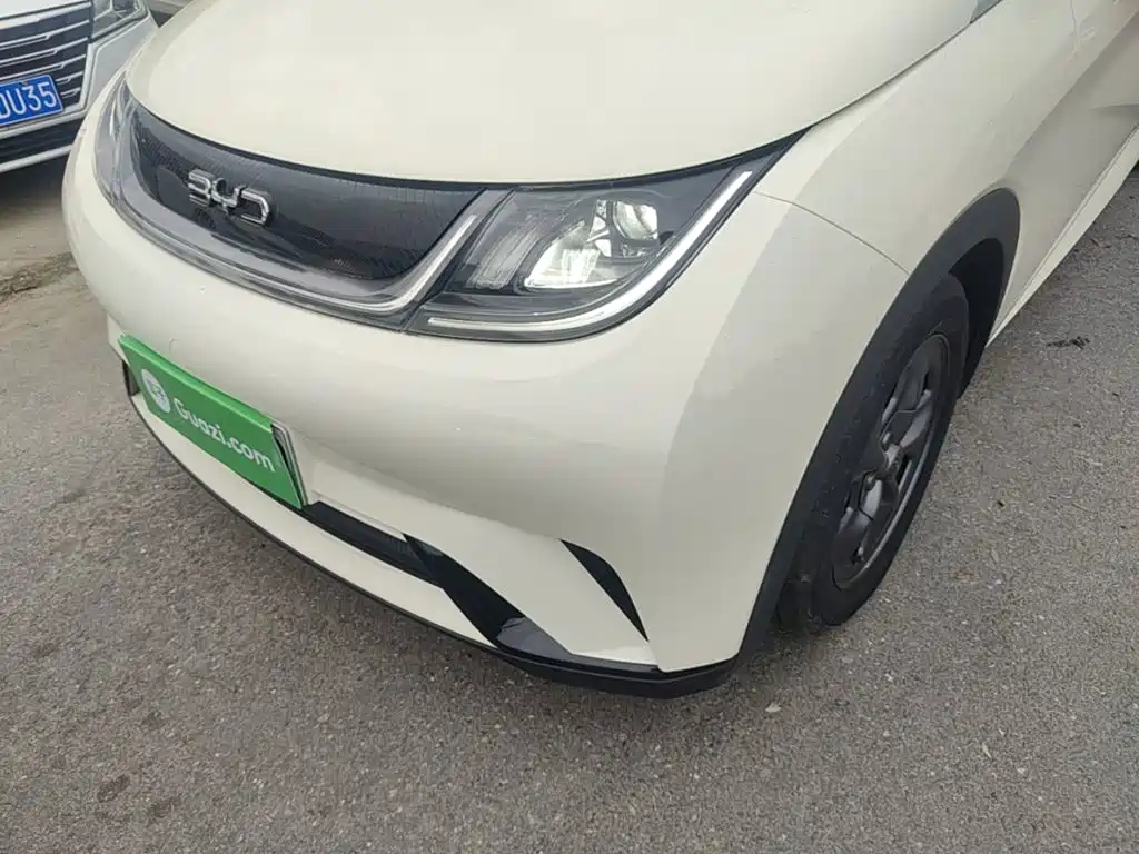 Photo 24 - BYD Dolphin