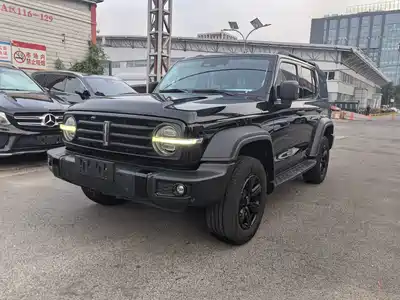 Tank 300