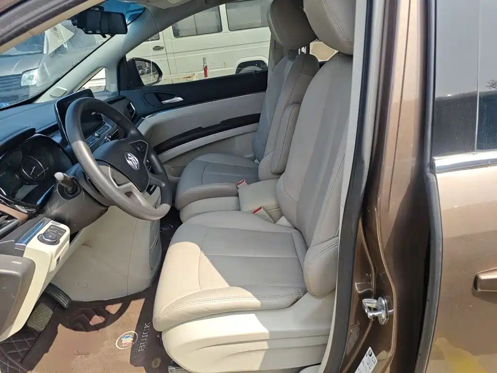 Buick Buick GL8 2020 Model Land Business Class 652T Comfort 11