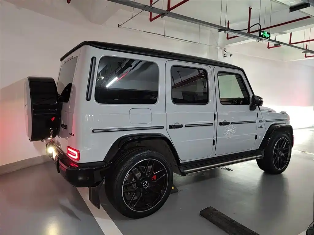 Mercedes-Benz G-Class 2020 G 350 фото 4