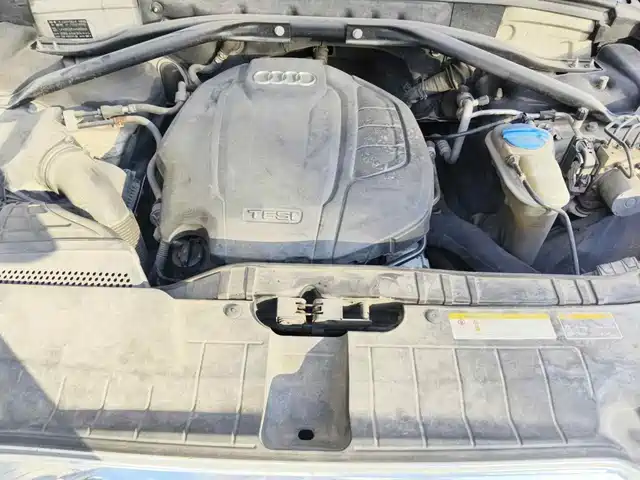 Audi Q5 2017 Plus 40 TFSI Technology — фото 3