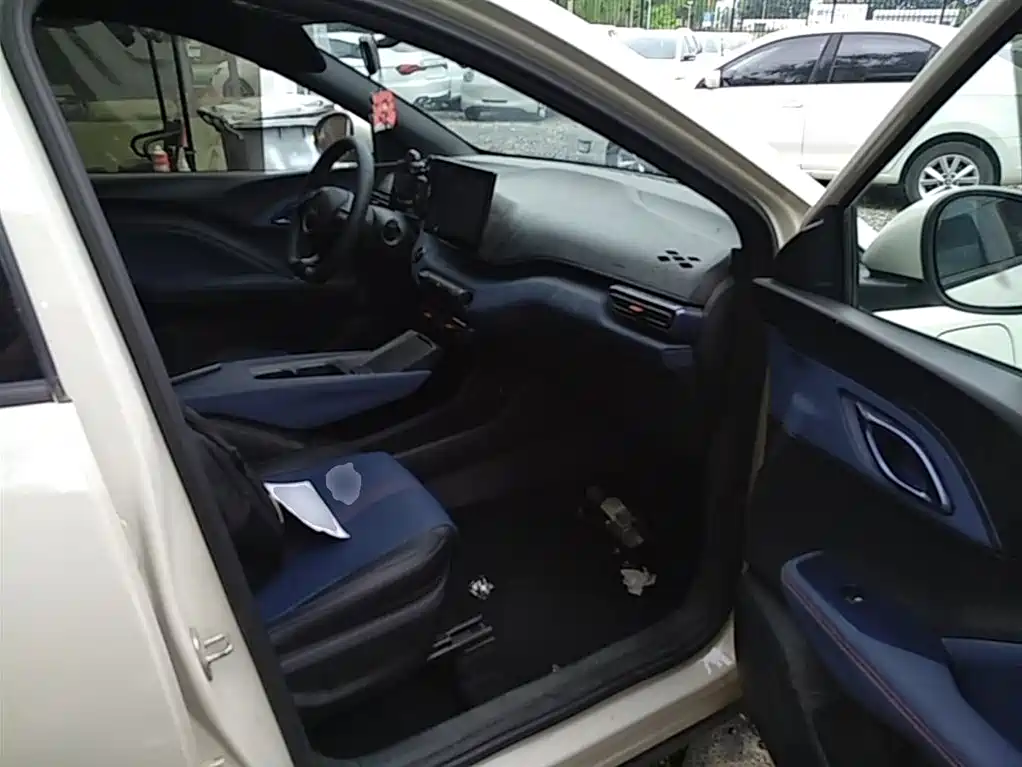 BYD Seagull 2024 Glory Edition 305km Vitality Edition фото 25