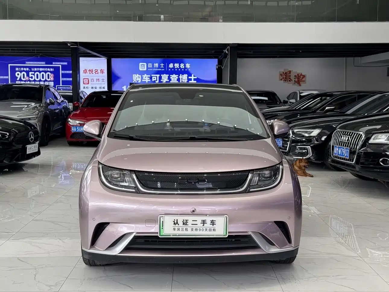 BYD Dolphin 2024 Glory Edition 420km Fashion Edition фото 3