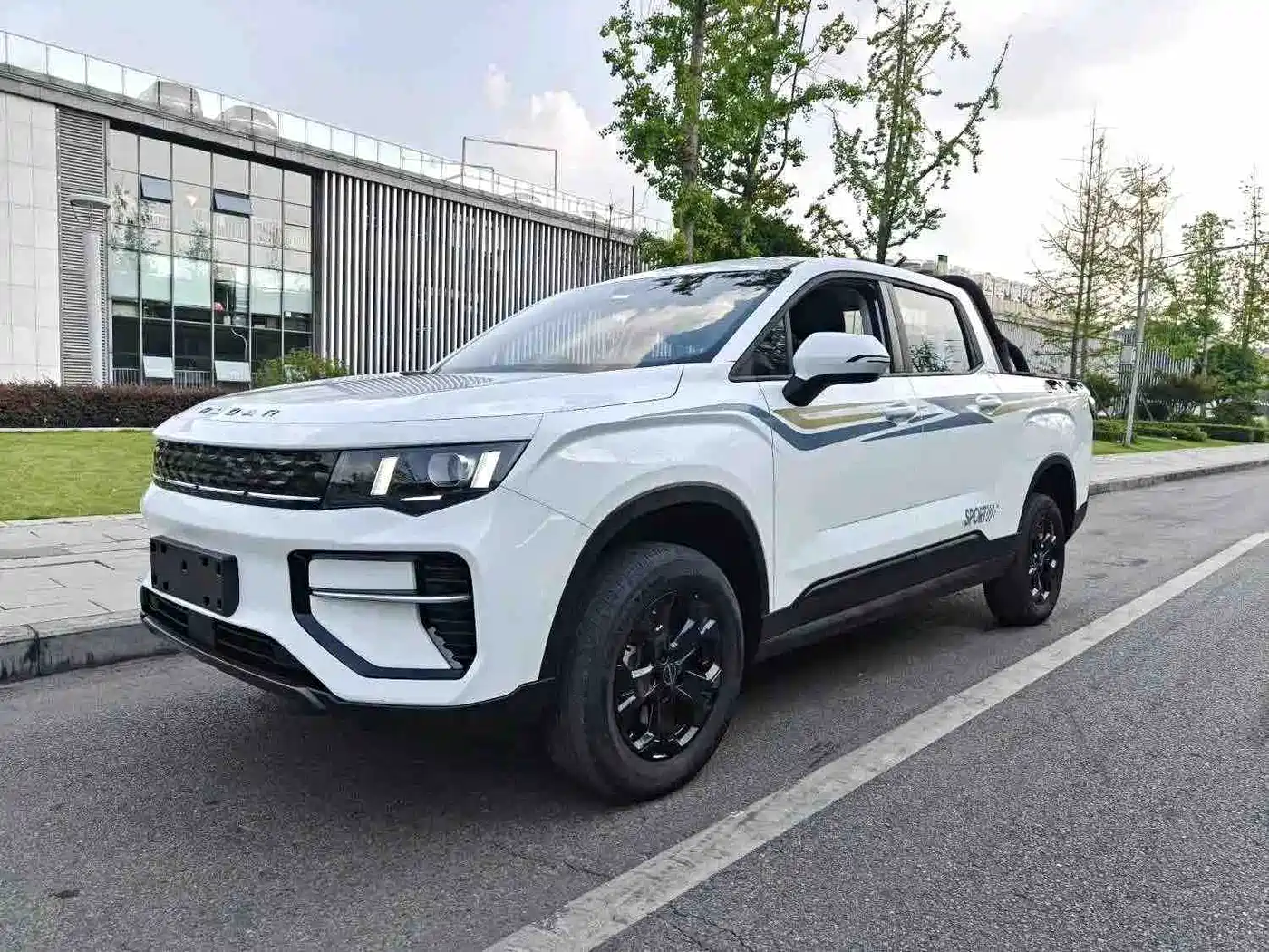 Geely Radar Radar Horizon 2025 2024 415km 2WD Champion Edition