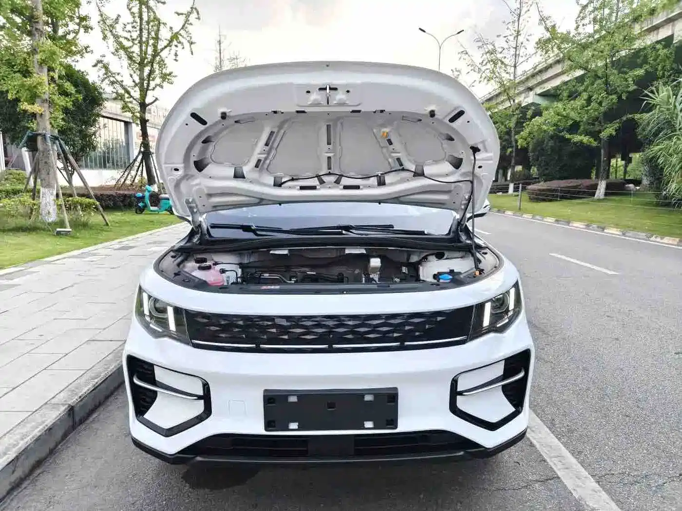 Geely Radar Radar Horizon 2025 2024 415km 2WD Champion Edition