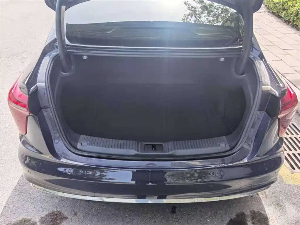 Hongqi H5 2024 2.0T Automatic Smart Connect Flag Leader Edition фото 12