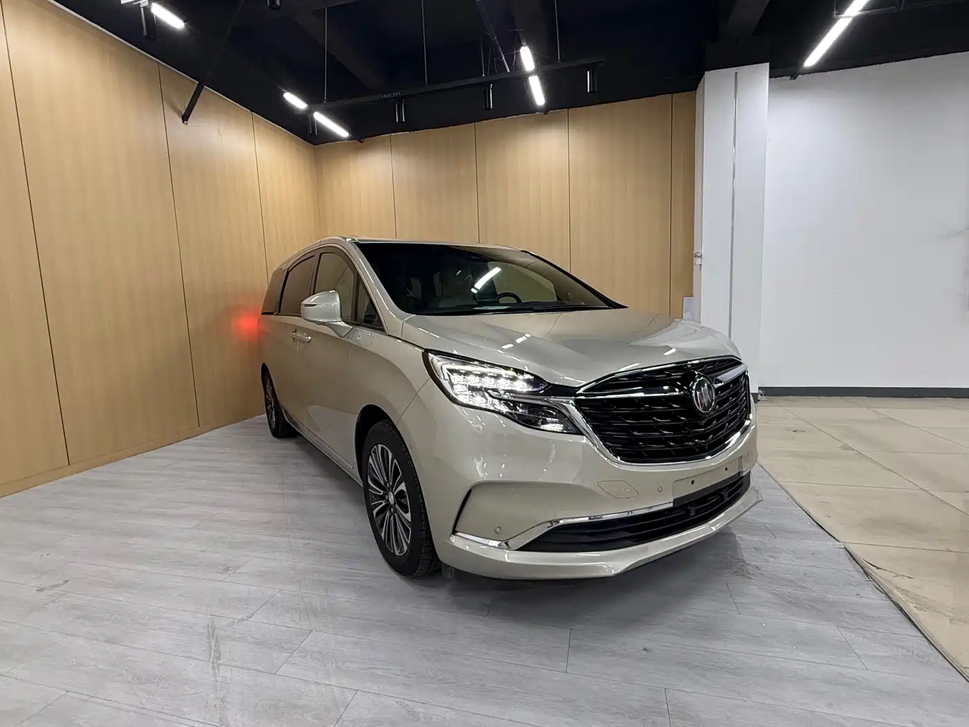 Buick GL8 2022 ES Landmark 653T Flagship фото 3