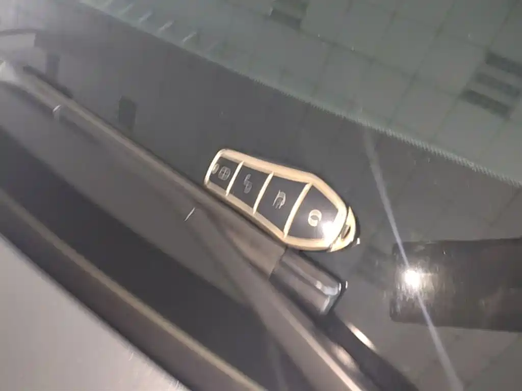 BYD Qin L 2024 DM-i 120KM Leading фото 9