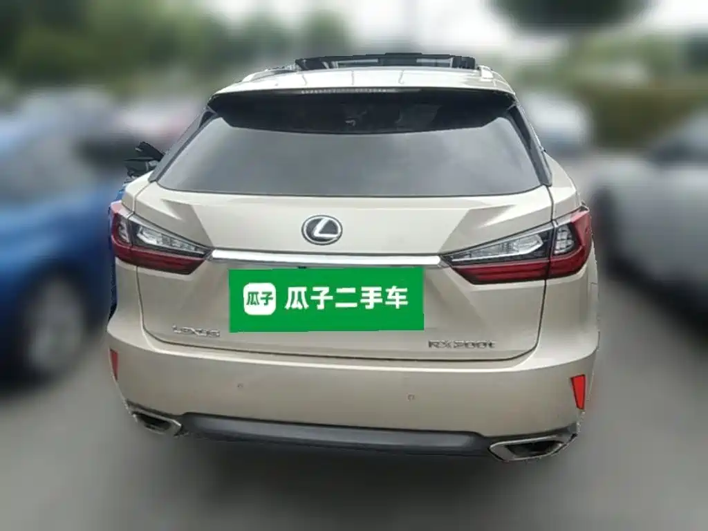 Фото 10 - Lexus RX