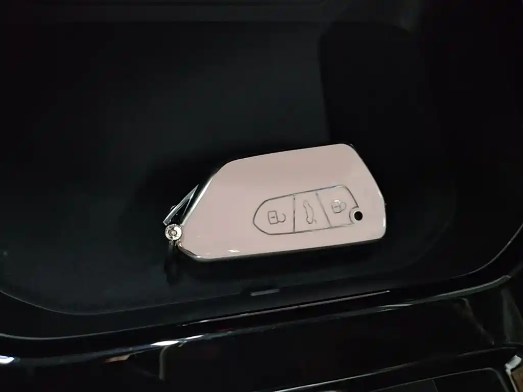 VOLKSWAGEN LINGDU