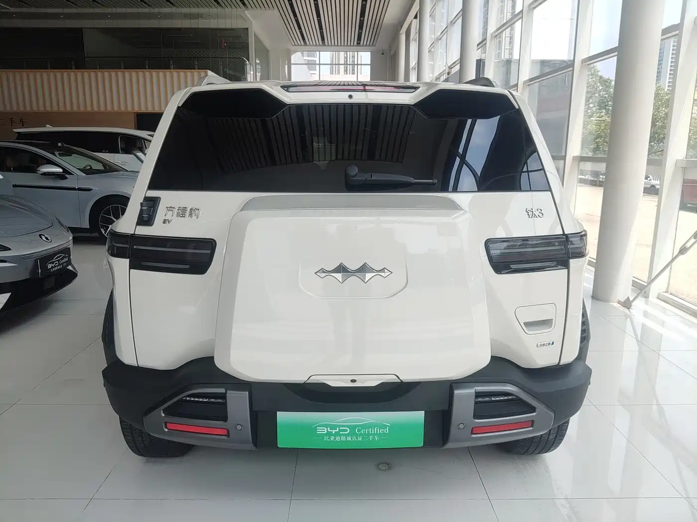 Фото 8 - Fang Cheng Bao Titanium 3