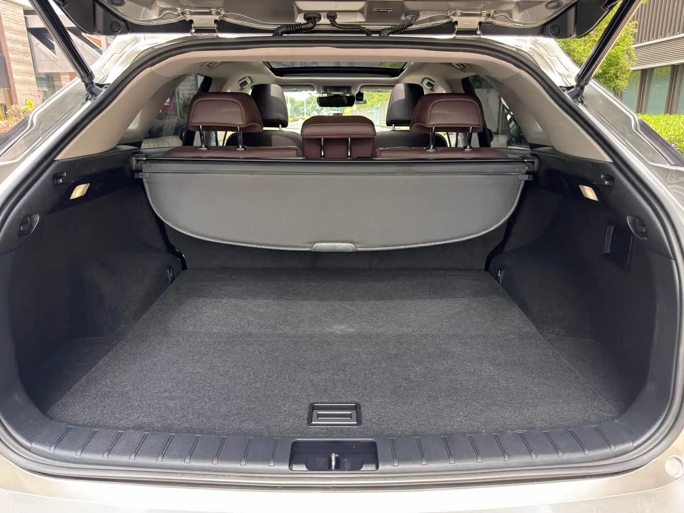 Lexus RX 2020 Facelift 300 AWD Elegance Edition фото 28