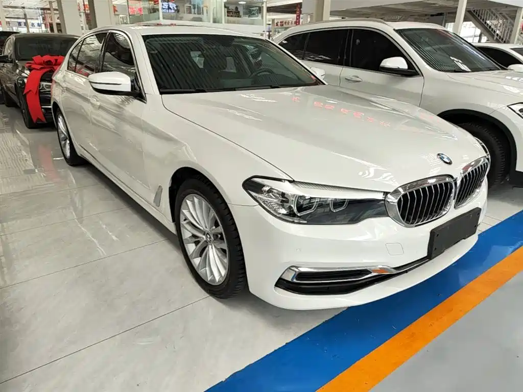 BMW 5 Series 2019 Facelift 530Li Leading Luxury Package фото 4