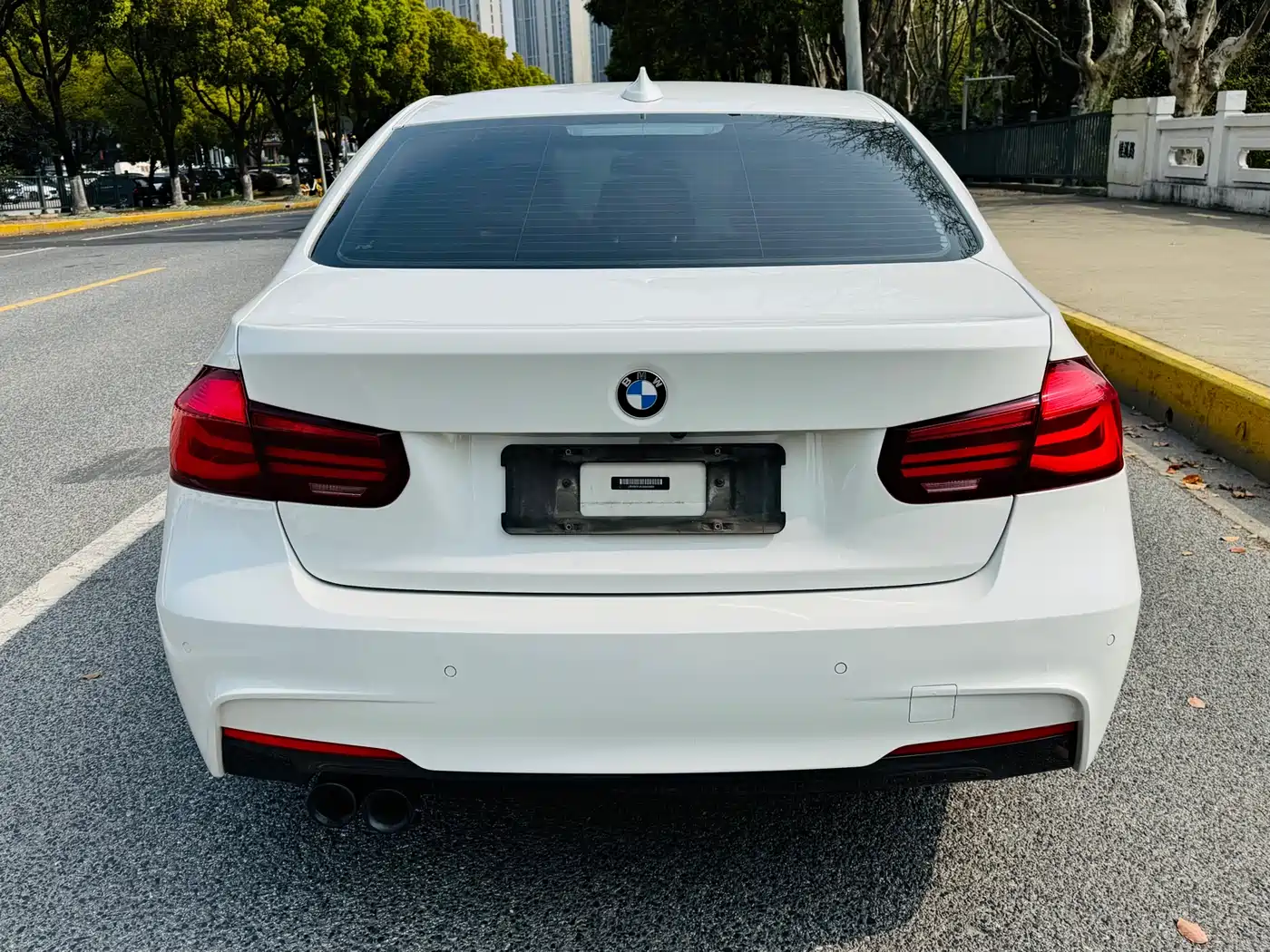 BMW 3 Series 2018 320Li M Sport Black Night Edition фото 11