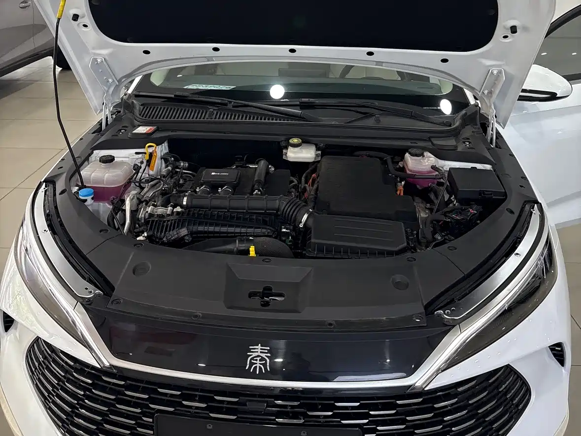 BYD Qin L 2024 DM-i 80KM Leading Edition фото 13
