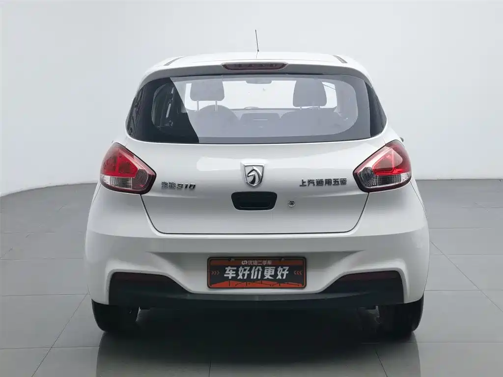 BAOJUN 310