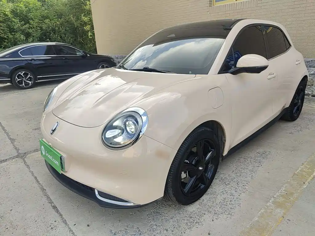 Ora Good Cat 2025 2024 401km Luxury