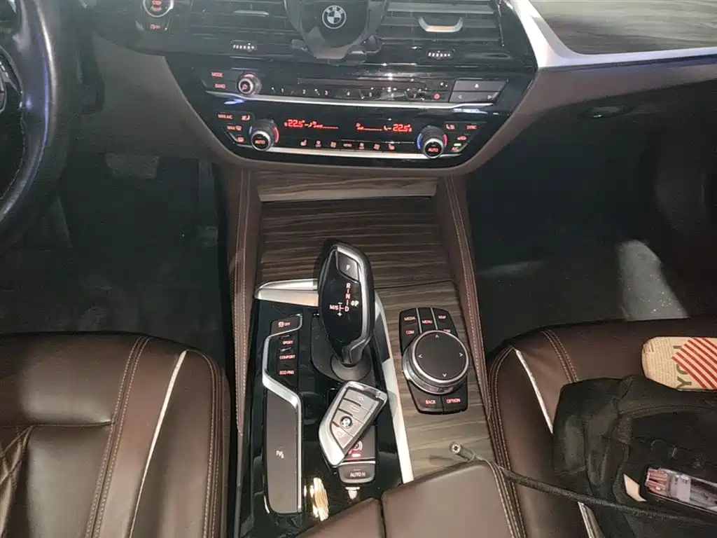 BMW 5 Series 2018 530Li Leading Luxury Package фото 14