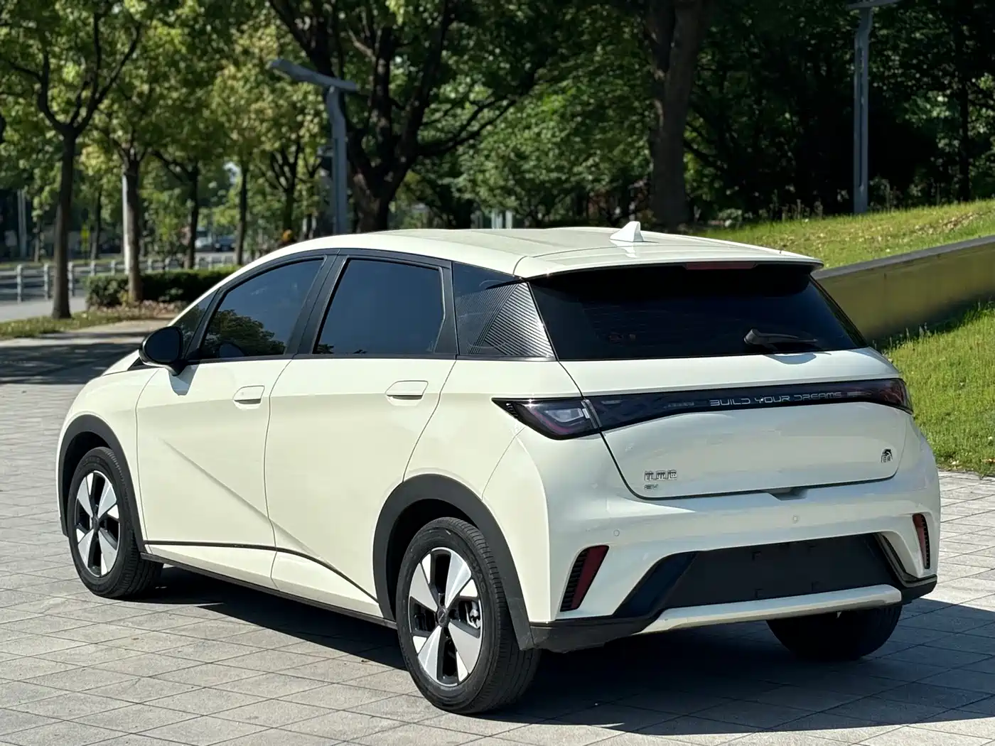 BYD Dolphin 2024 Glory Edition 420km Freedom Edition фото 7