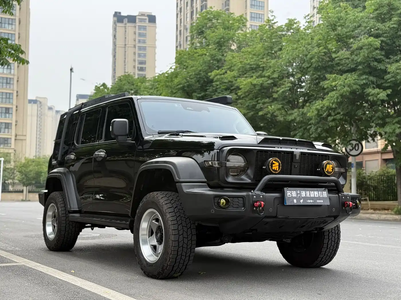 Tank 300 2021 Off-road Version 2.0T Conqueror фото 3