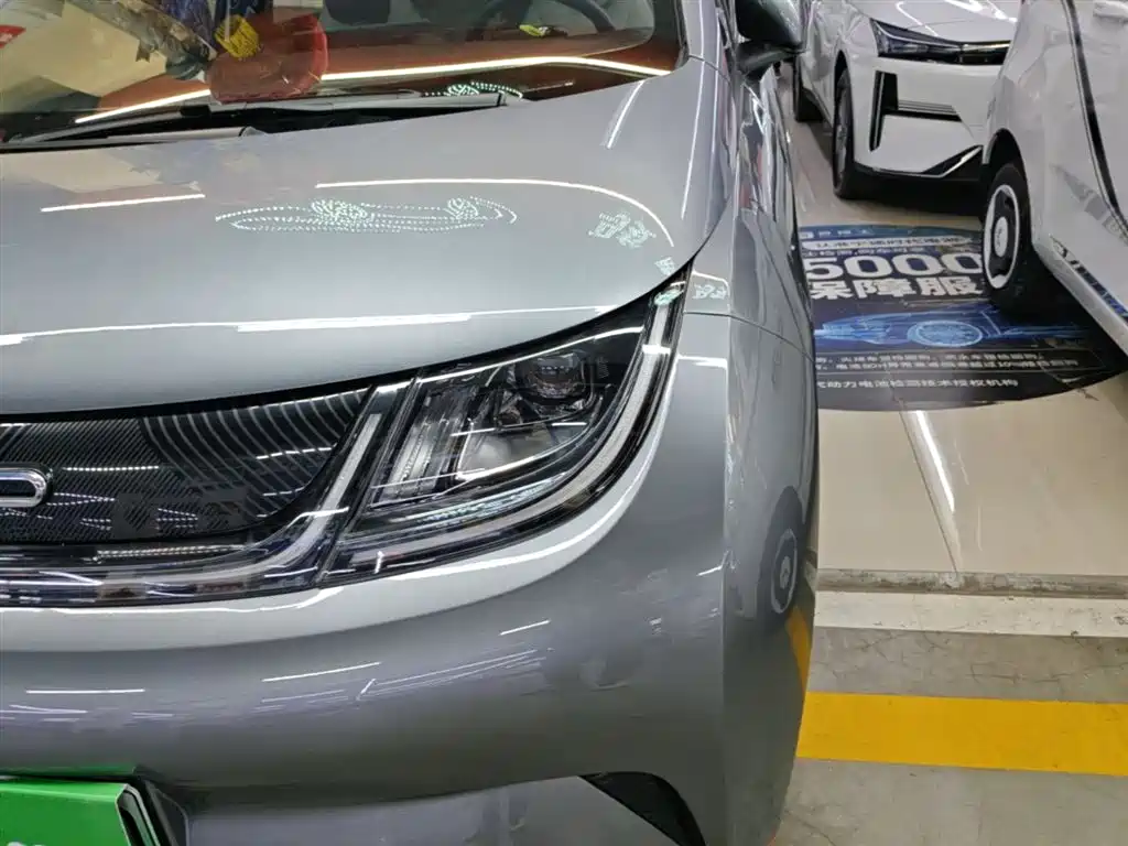 BYD Dolphin 2021 Model 405km Fashion Edition фото 24