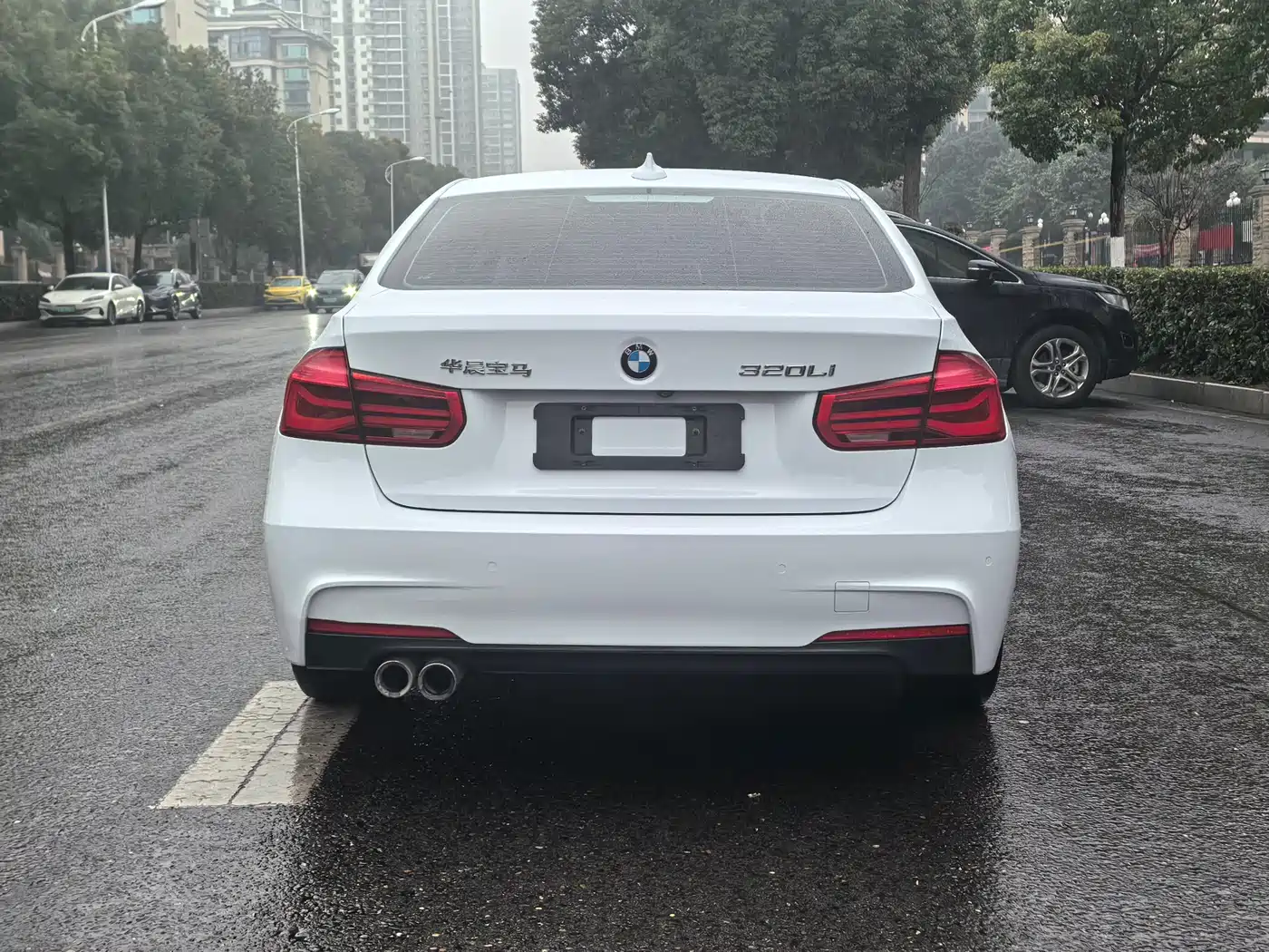 BMW 3 Series 2019 320Li M Luxury Package фото 13