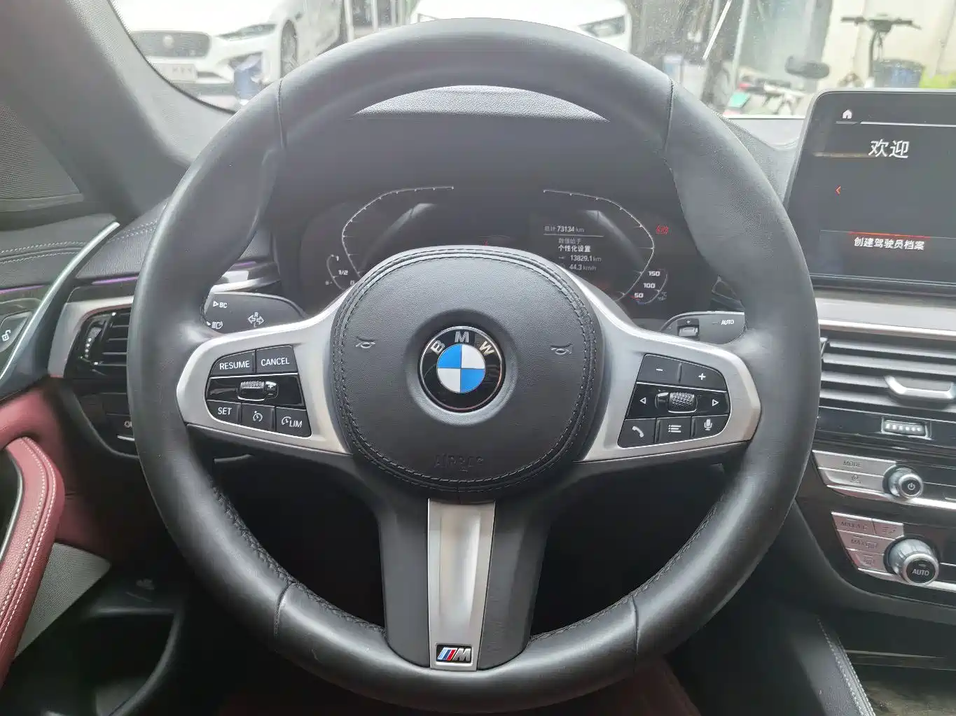 BMW 5 Series 2021 525Li M Sport Package фото 9