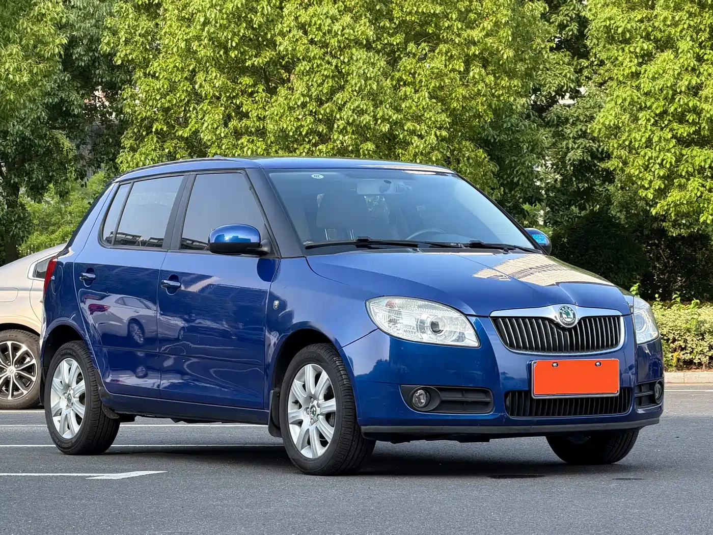 Škoda Fabia 2011 1.6L Automatic Crystal Edition фото 3