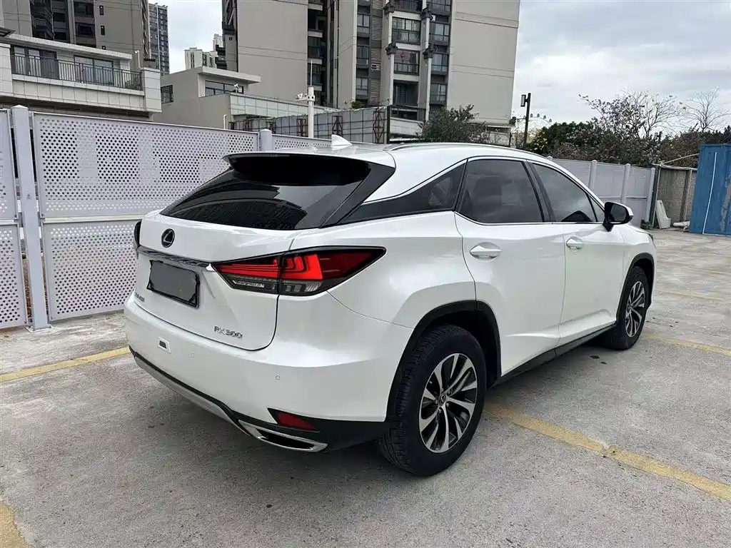 Lexus RX 2020 300 2WD Elite Edition China V фото 9