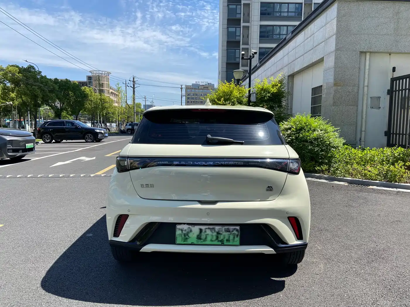 BYD Dolphin 2023 420km Freedom Edition фото 13