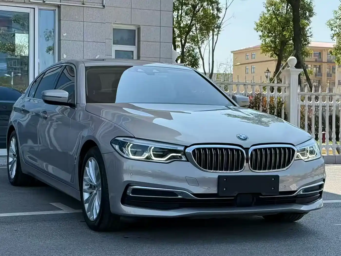 BMW 5 Series New Energy 2019 530Le Luxury Package фото 3