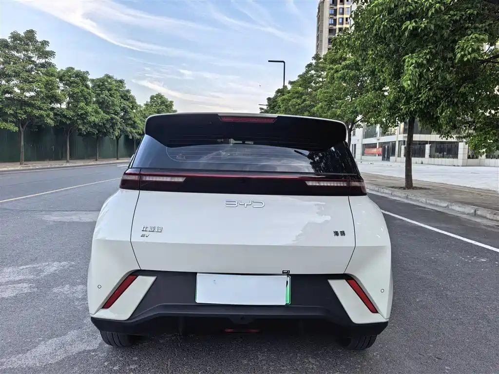BYD Seagull 2025 305km Freedom фото 14