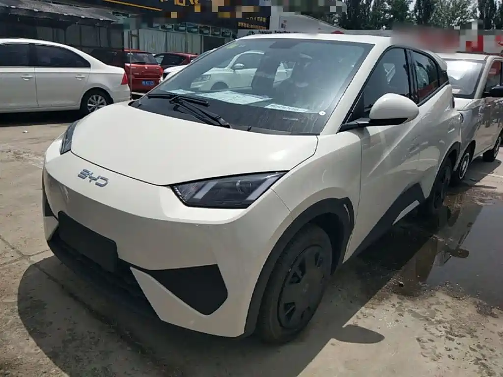 BYD Seagull 2025 Smart Drive Edition 305km Vitality Version фото 2