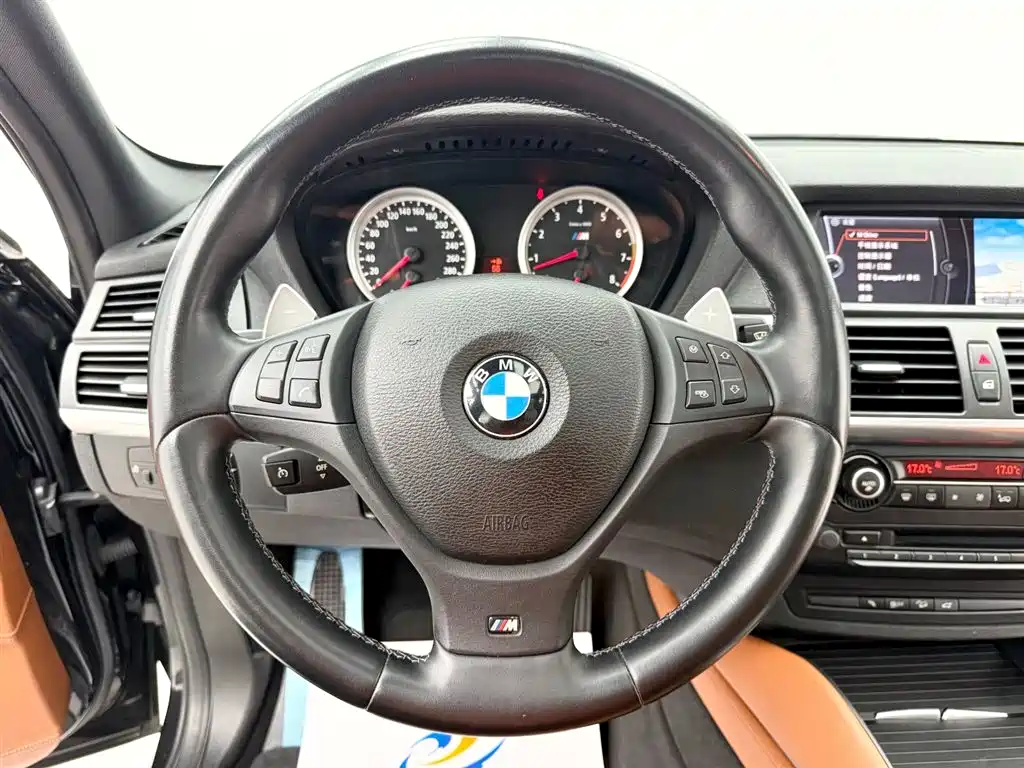 BMW X5 M 2010 X5 M фото 11