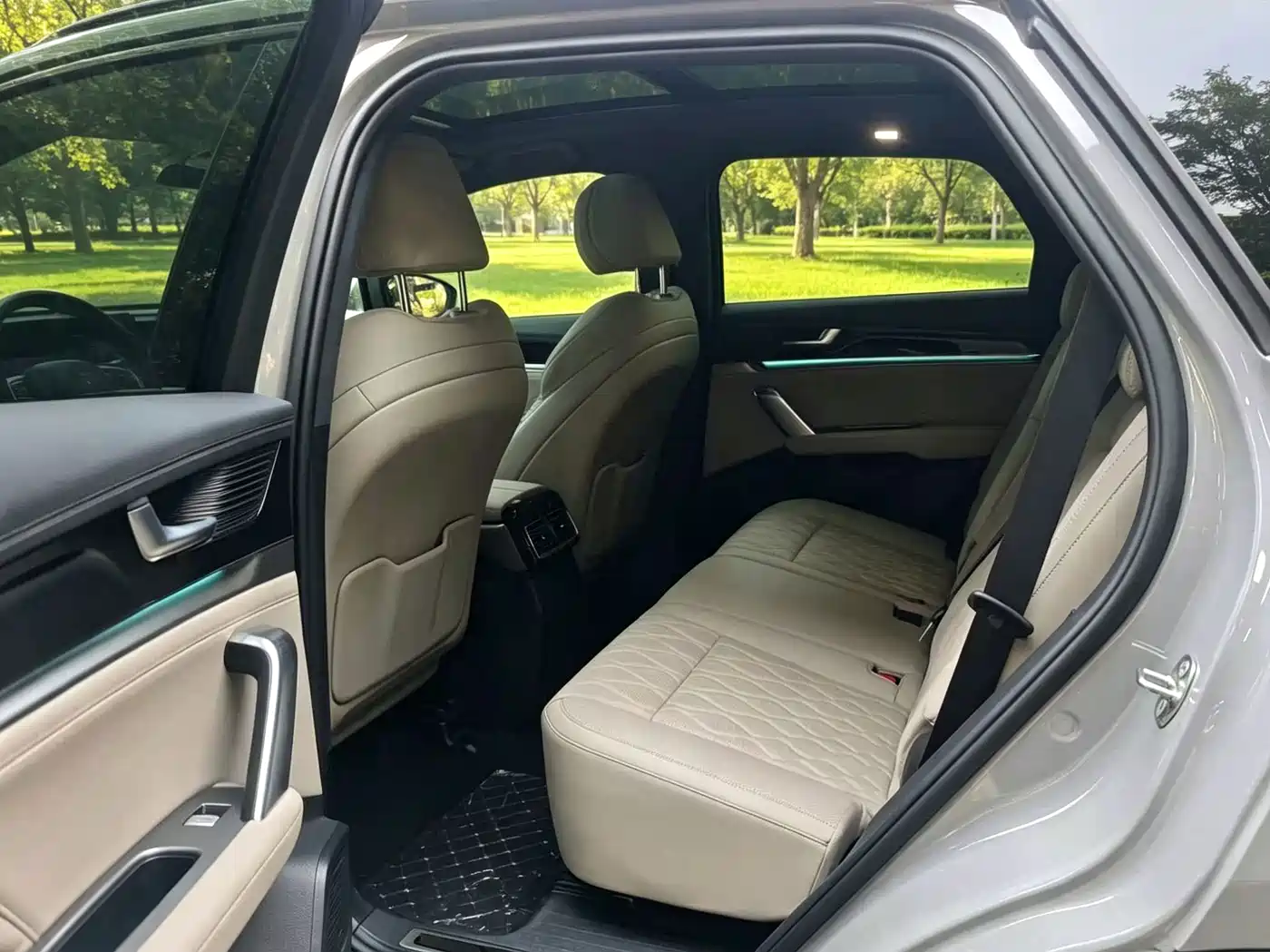 BYD Tang New Energy 2025 2025 Smart Driving Edition DM-i 115KM Flagship